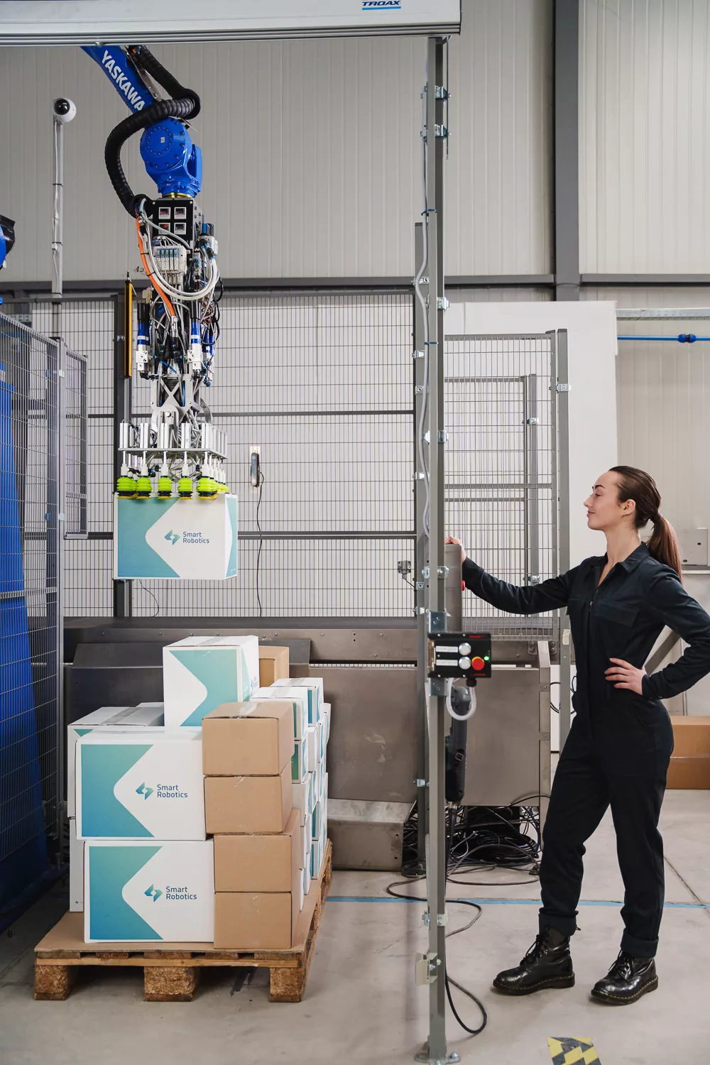 Smart Mixed Case Palletizer